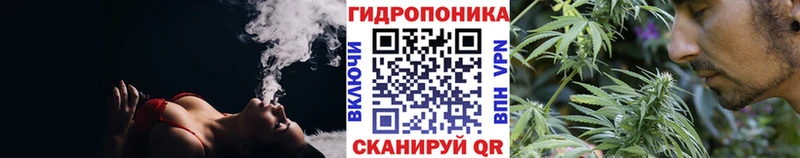 Бошки марихуана Bruce Banner наркотики это какой сайт Тотьма